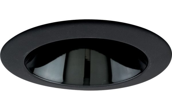 4″ Downlight/Adjustable/PAR20/Black Alzak